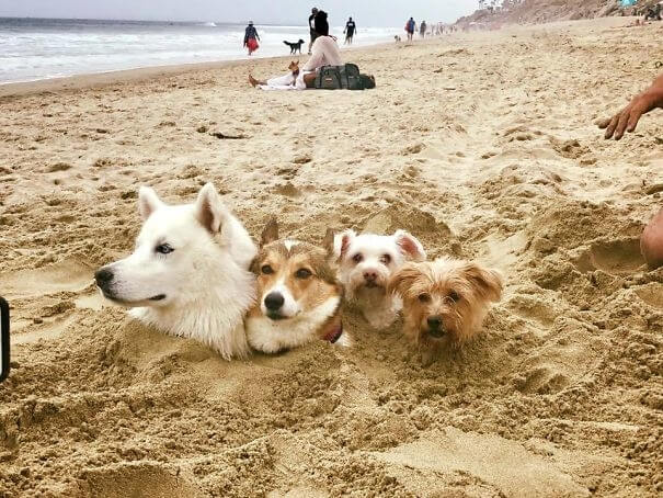 Mount Ruffmore