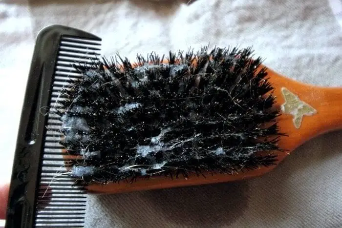 Deep Clean Hairbrushes Using WD-40