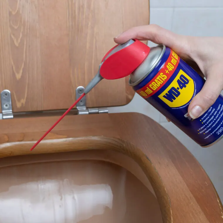 Sanitize Toilets Effortlessly with WD-40